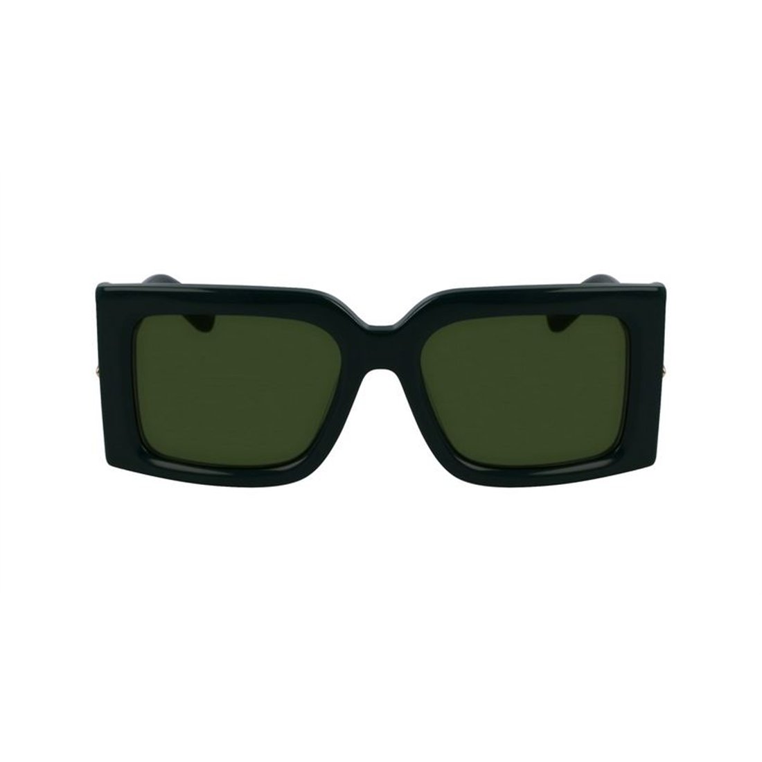 Salvatore Ferragamo SF2032S 302