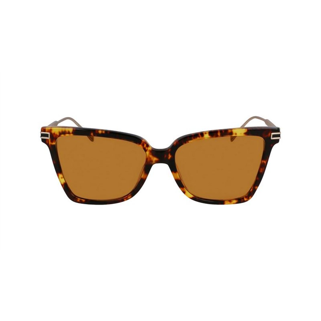 Salvatore Ferragamo SF2036S 242