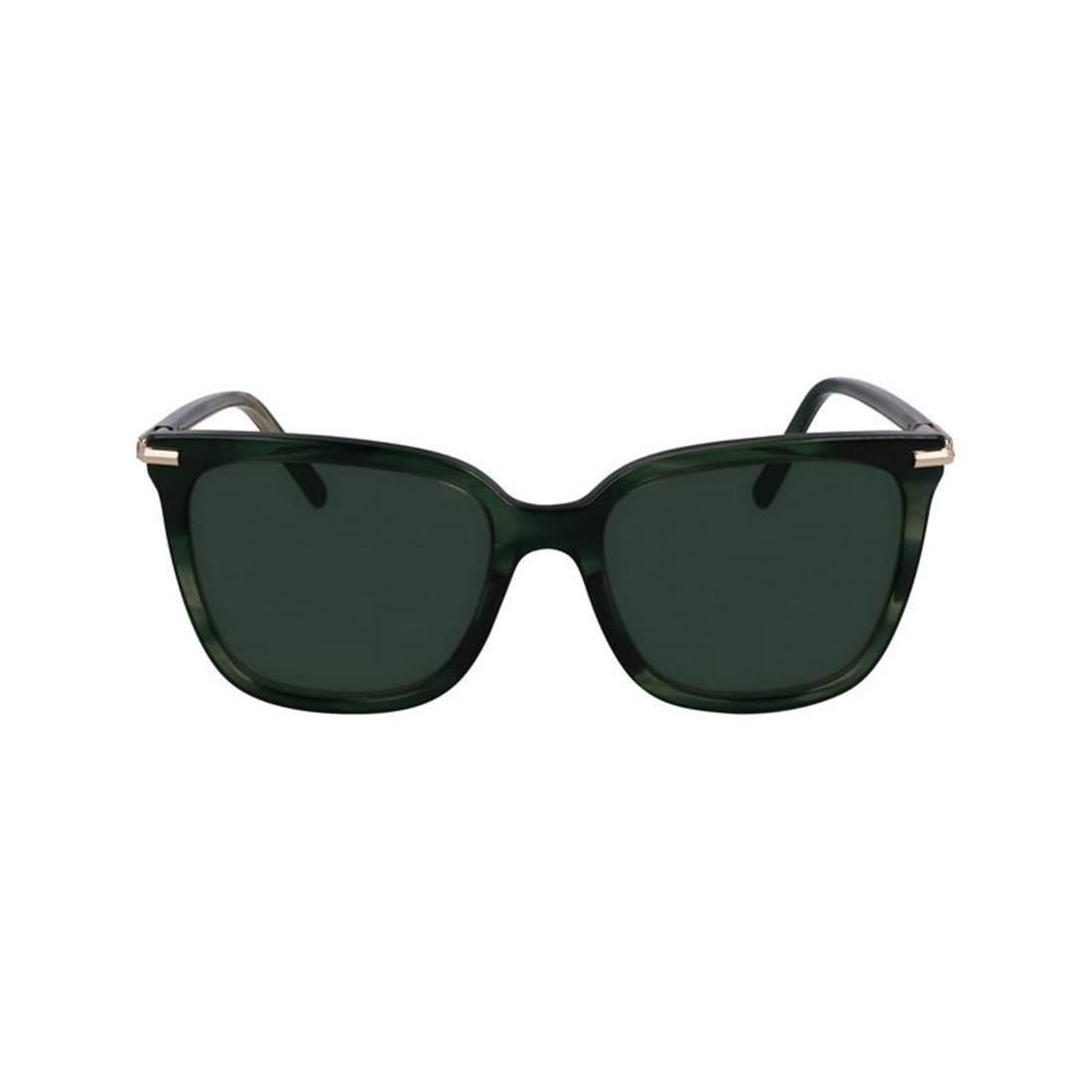 Salvatore Ferragamo SF2037S 315