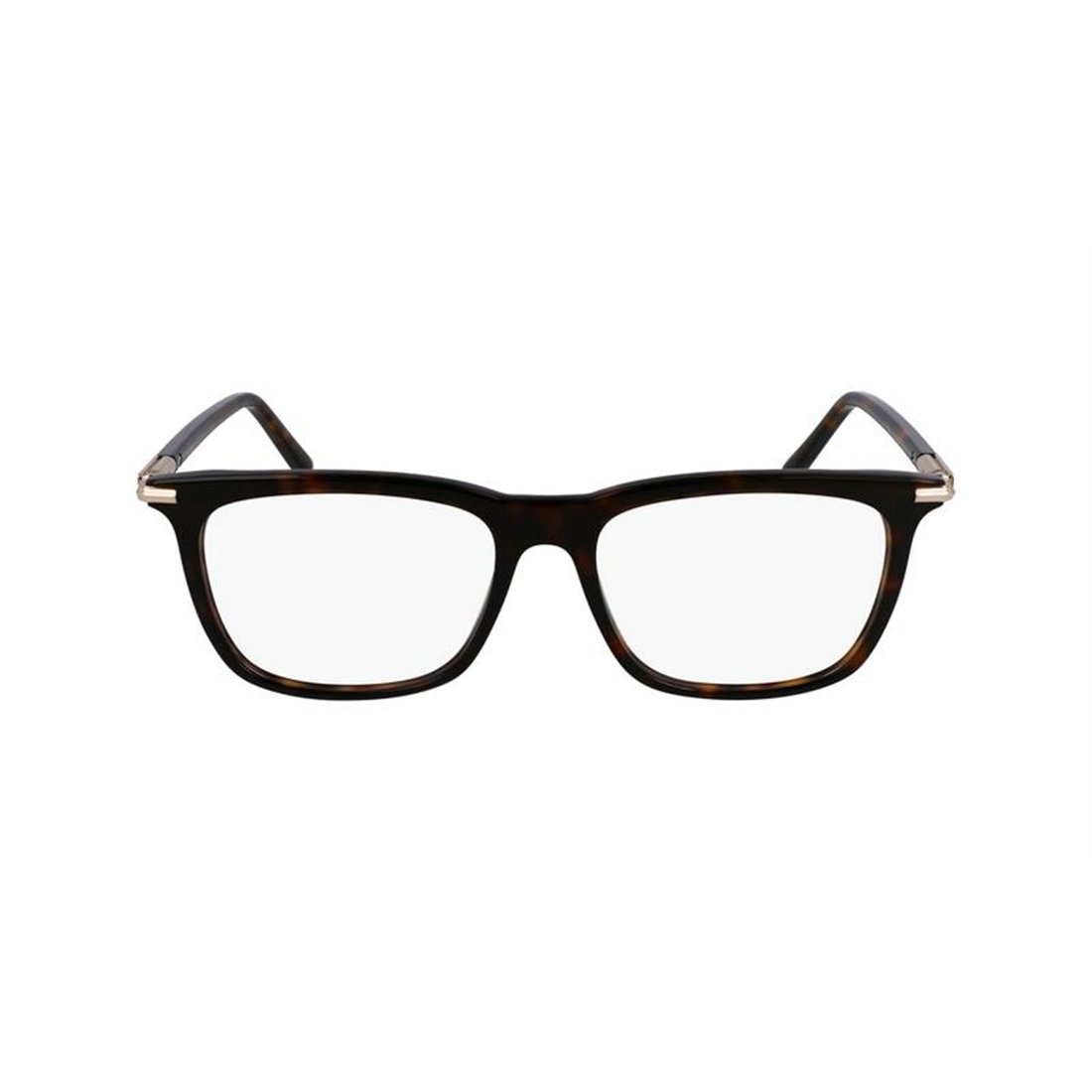 Salvatore Ferragamo SF3007 242