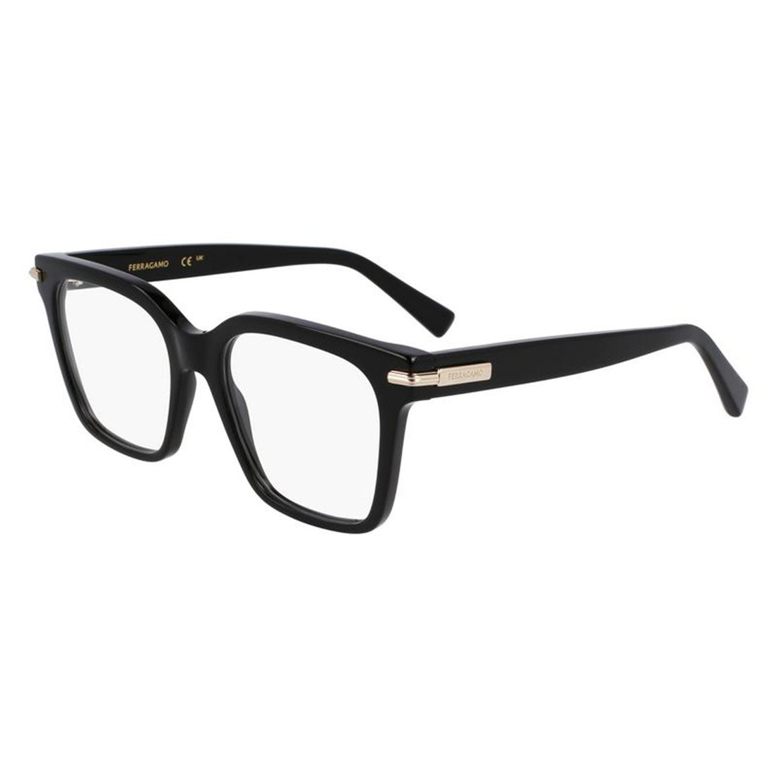 Salvatore Ferragamo SF3009 001