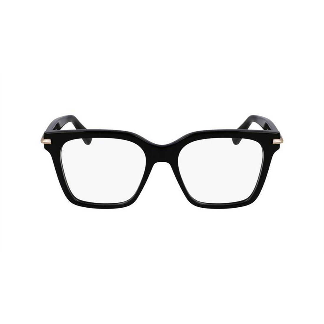 Salvatore Ferragamo SF3009 001