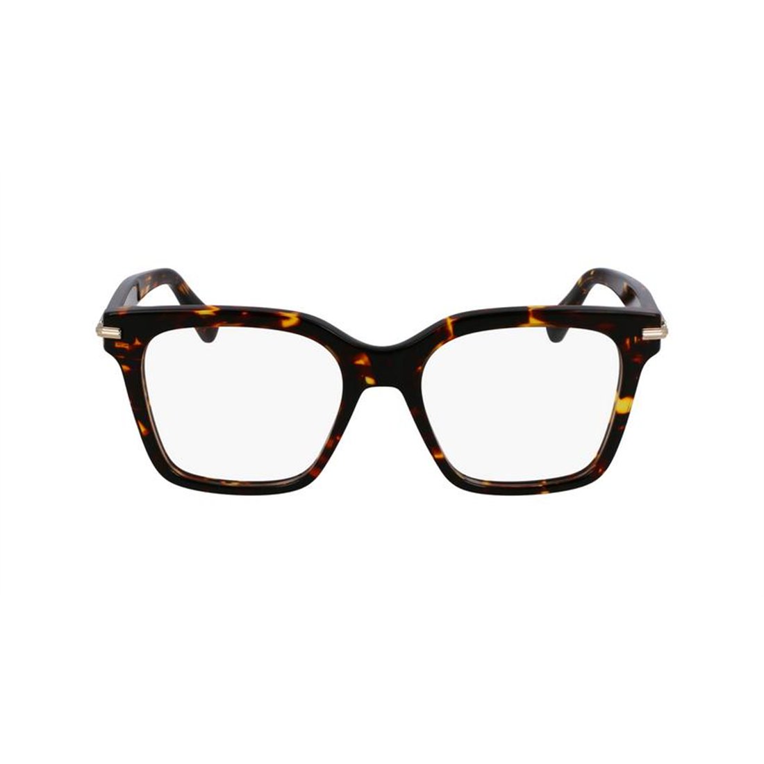 Salvatore Ferragamo SF3009 242