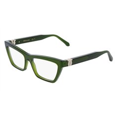 Salvatore Ferragamo SF3021 317