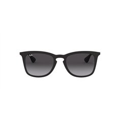 Ray-Ban RB4221 622/8G 2