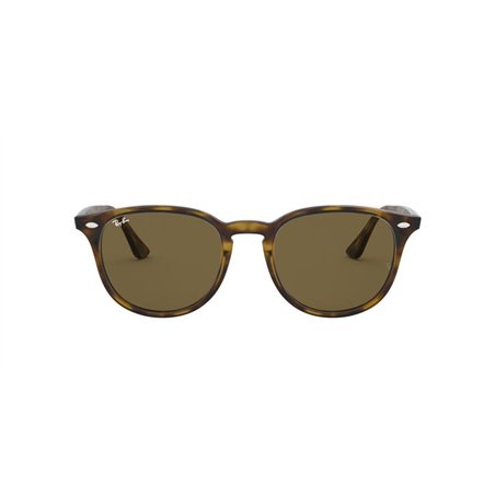 Ray-Ban RB4259 710/73