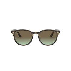 Ray-Ban RB4259 731/E8 2