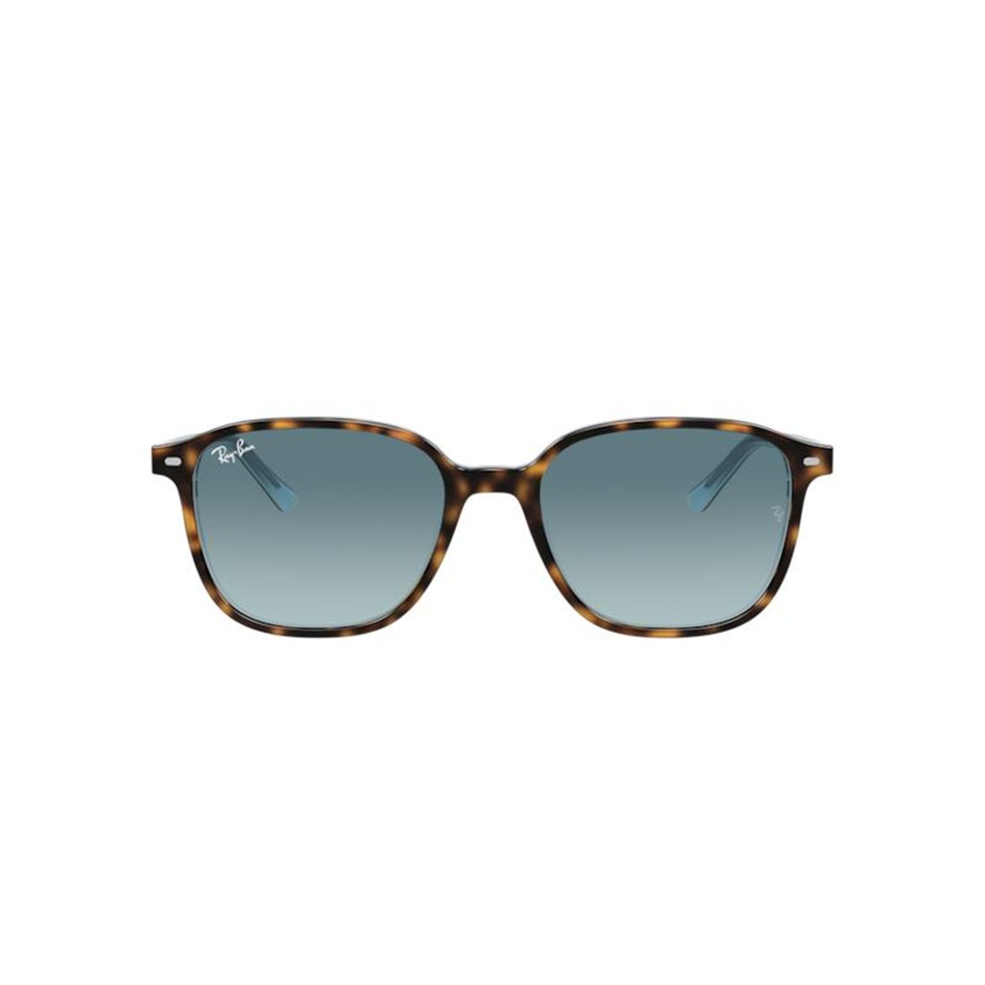 Ray-Ban LEONARD RB2193 13163M