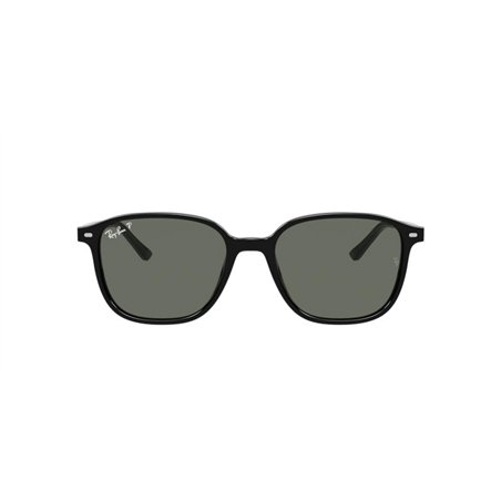 Ray-Ban LEONARD RB2193 901/58