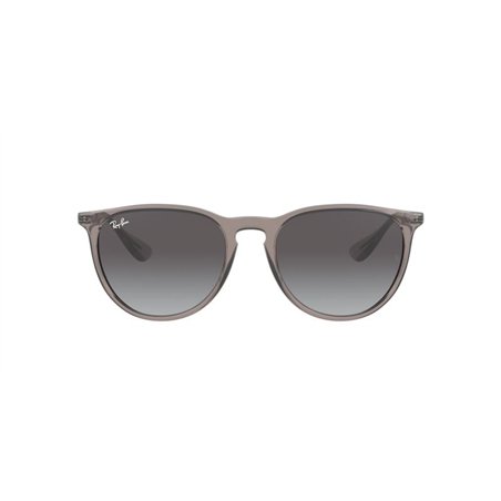 Ray-Ban ERIKA RB4171 65138G Ray-Ban ERIKA RB4171 65138G