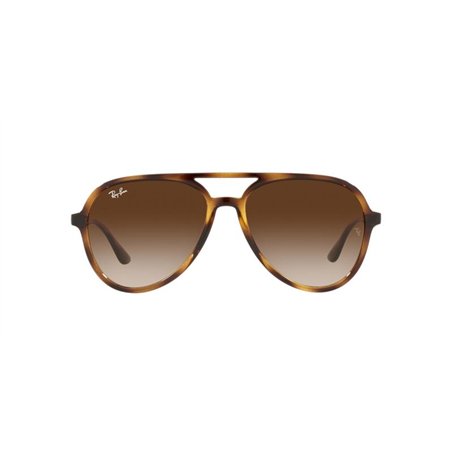Ray-Ban RB4376 710/13