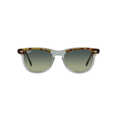 Ray-Ban EAGLEEYE RB2398 1376BH Ray-Ban EAGLEEYE RB2398 1376BH