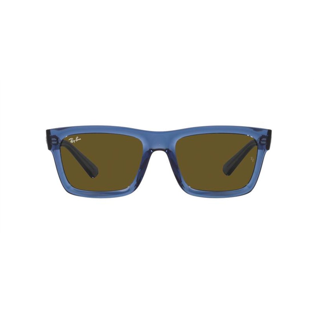 Ray-Ban WARREN RB4396 668073