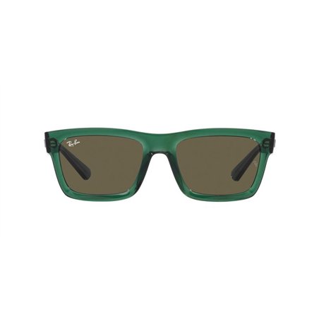 Ray-Ban WARREN RB4396 6681/3