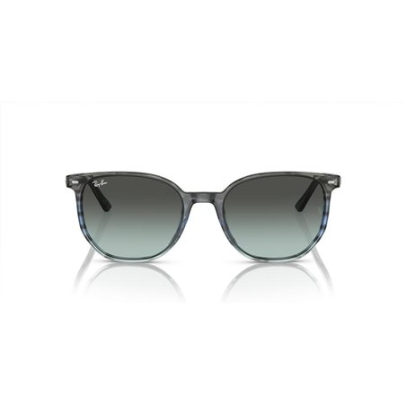 Ray-Ban ELLIOT RB2197 1391GK Ray-Ban ELLIOT RB2197 1391GK