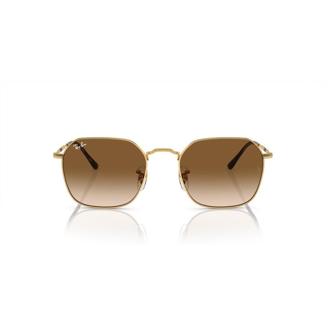 Ray-Ban JIM RB3694 001/51