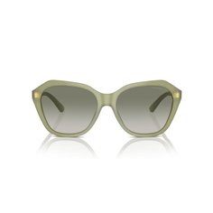 Emporio Armani EA4221 61168E 2