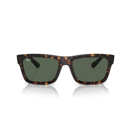 Ray-Ban WARREN RB4396 135971 Ray-Ban WARREN RB4396 135971