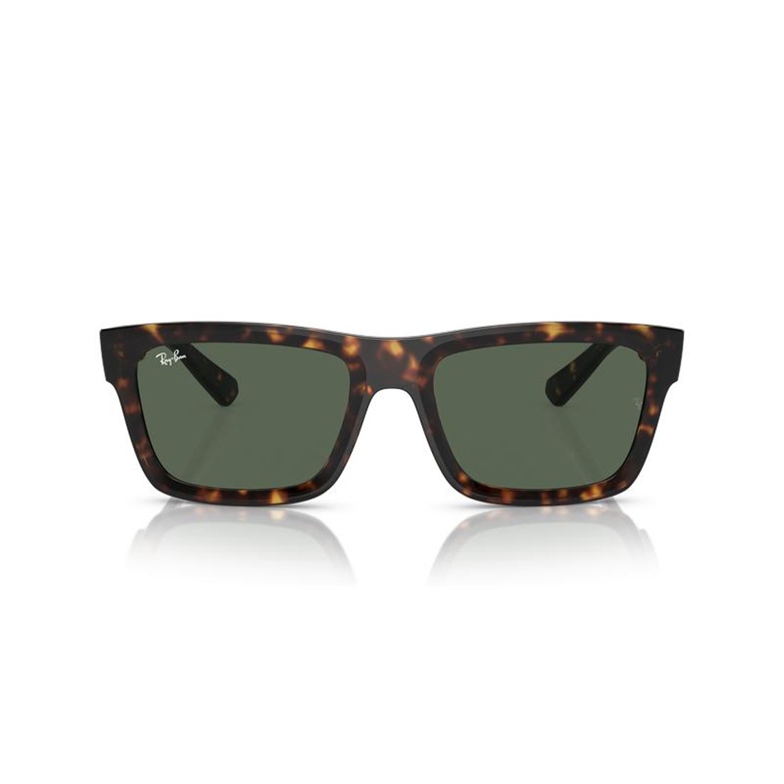 Ray-Ban WARREN RB4396 135971