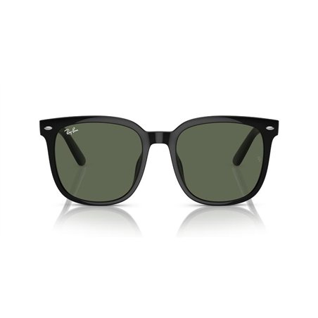 Ray-Ban RB4401D 601/71