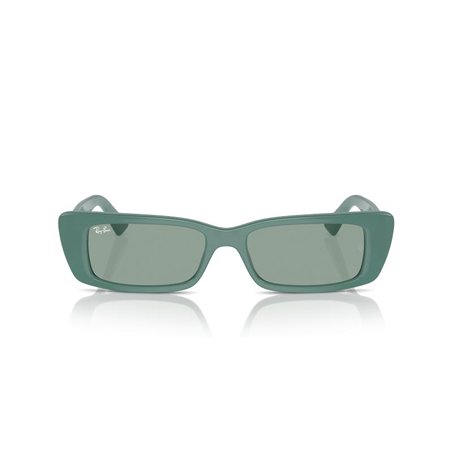 Ray-Ban TERU RB4425 676282 Ray-Ban TERU RB4425 676282