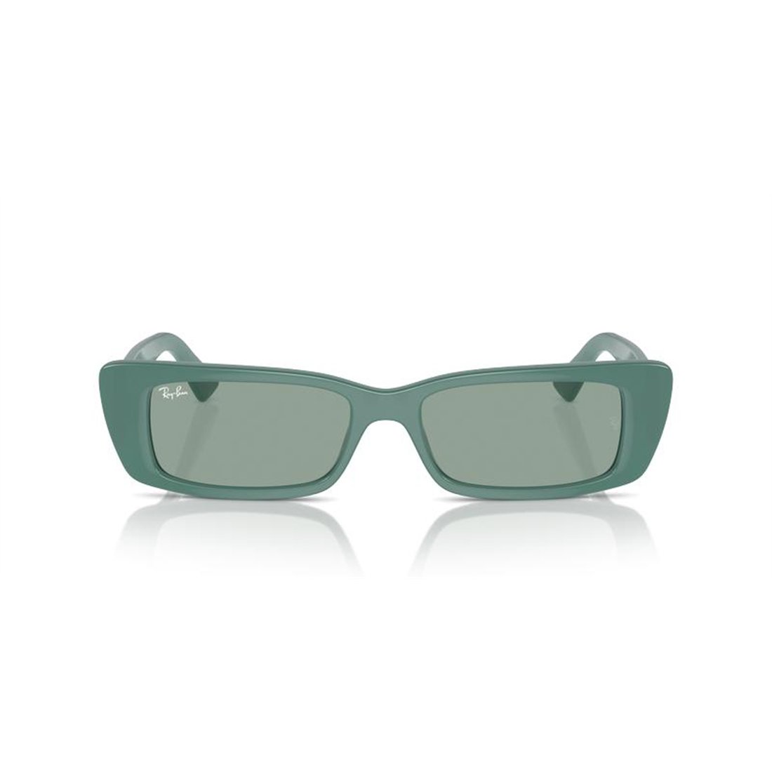 Ray-Ban TERU RB4425 676282