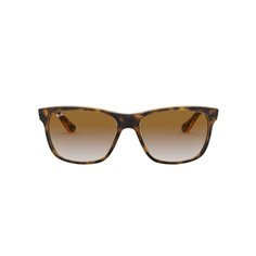 Ray-Ban RB4181 RB4181 710/51 2