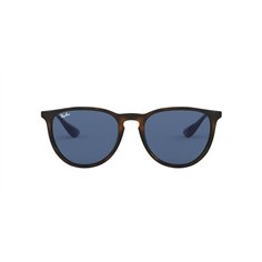 Ray-Ban ERIKA RB4171 639080 2
