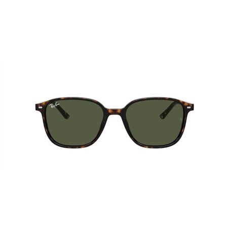 Ray-Ban LEONARD RB2193 902/31 Ray-Ban LEONARD RB2193 902/31