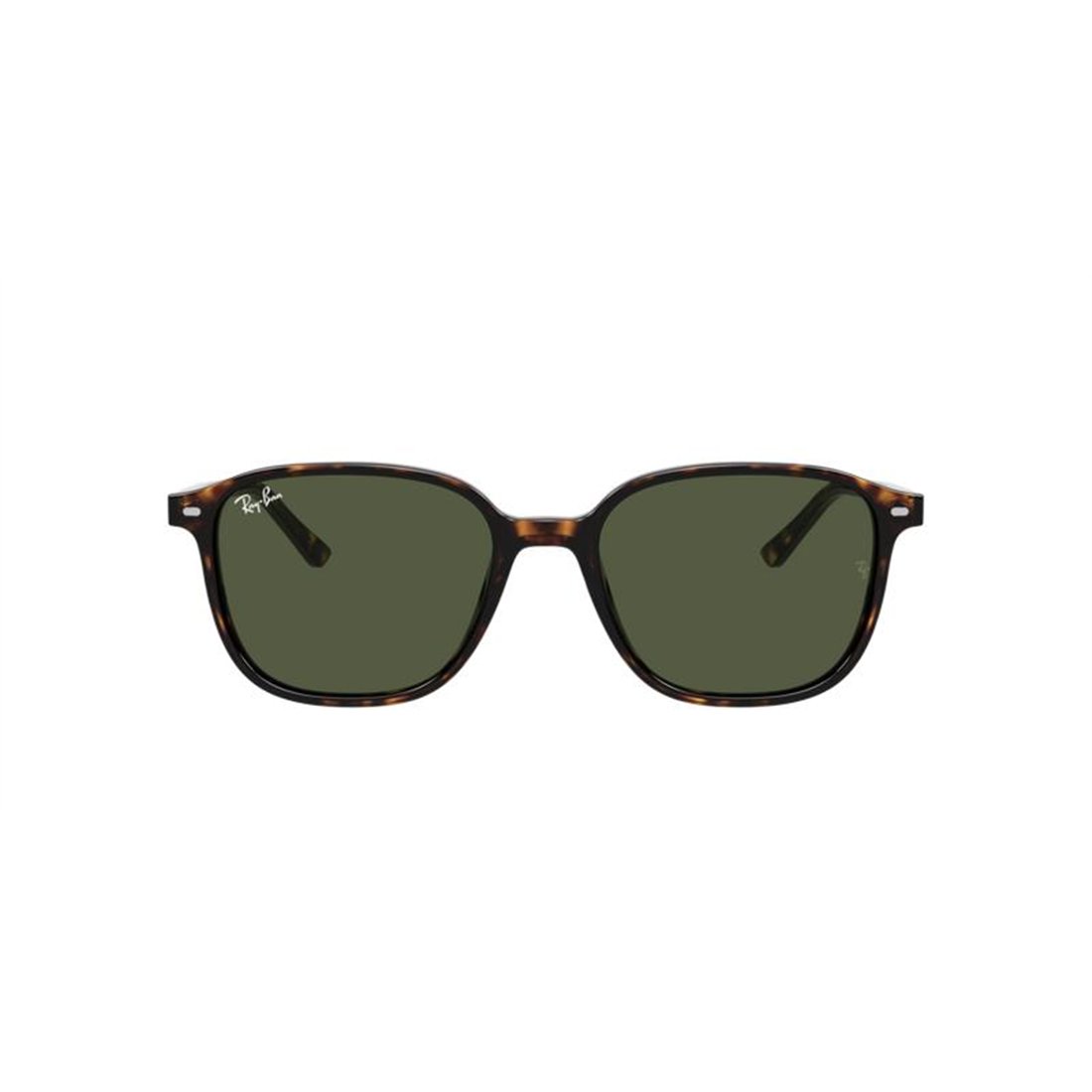 Ray-Ban LEONARD RB2193 902/31