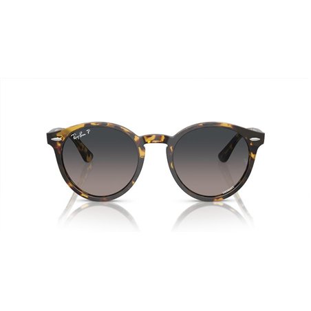 Ray-Ban LARRY RB7680S 1332GL