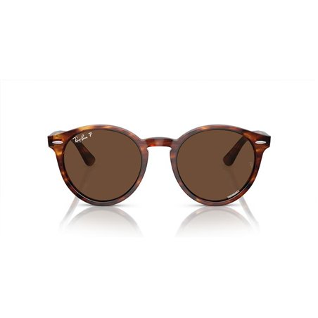 Ray-Ban LARRY RB7680S 954/AN