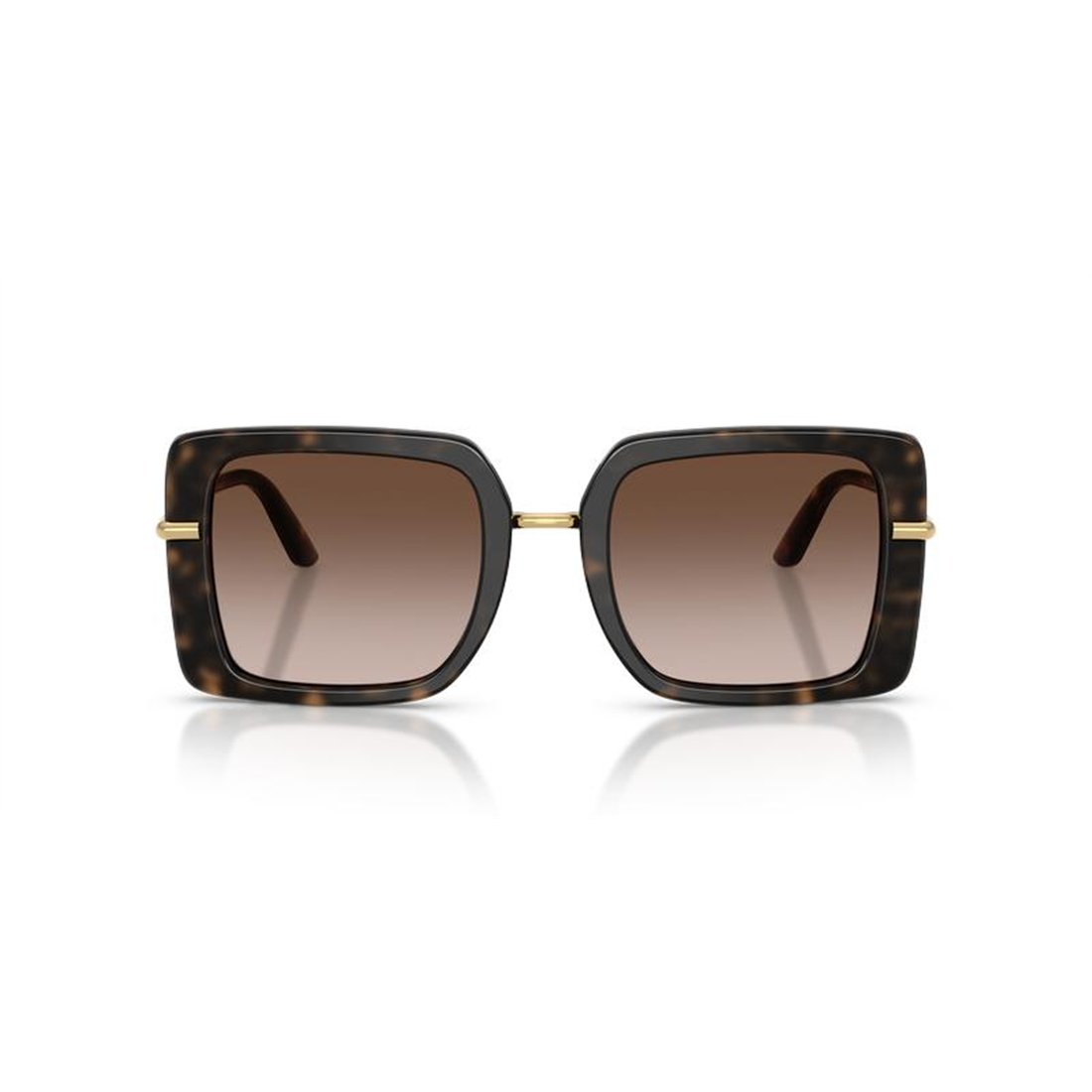 Dolce & Gabbana DG4491 321713