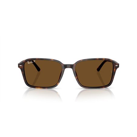 Ray-Ban RAIMOND RB2231 902/57 Ray-Ban RAIMOND RB2231 902/57