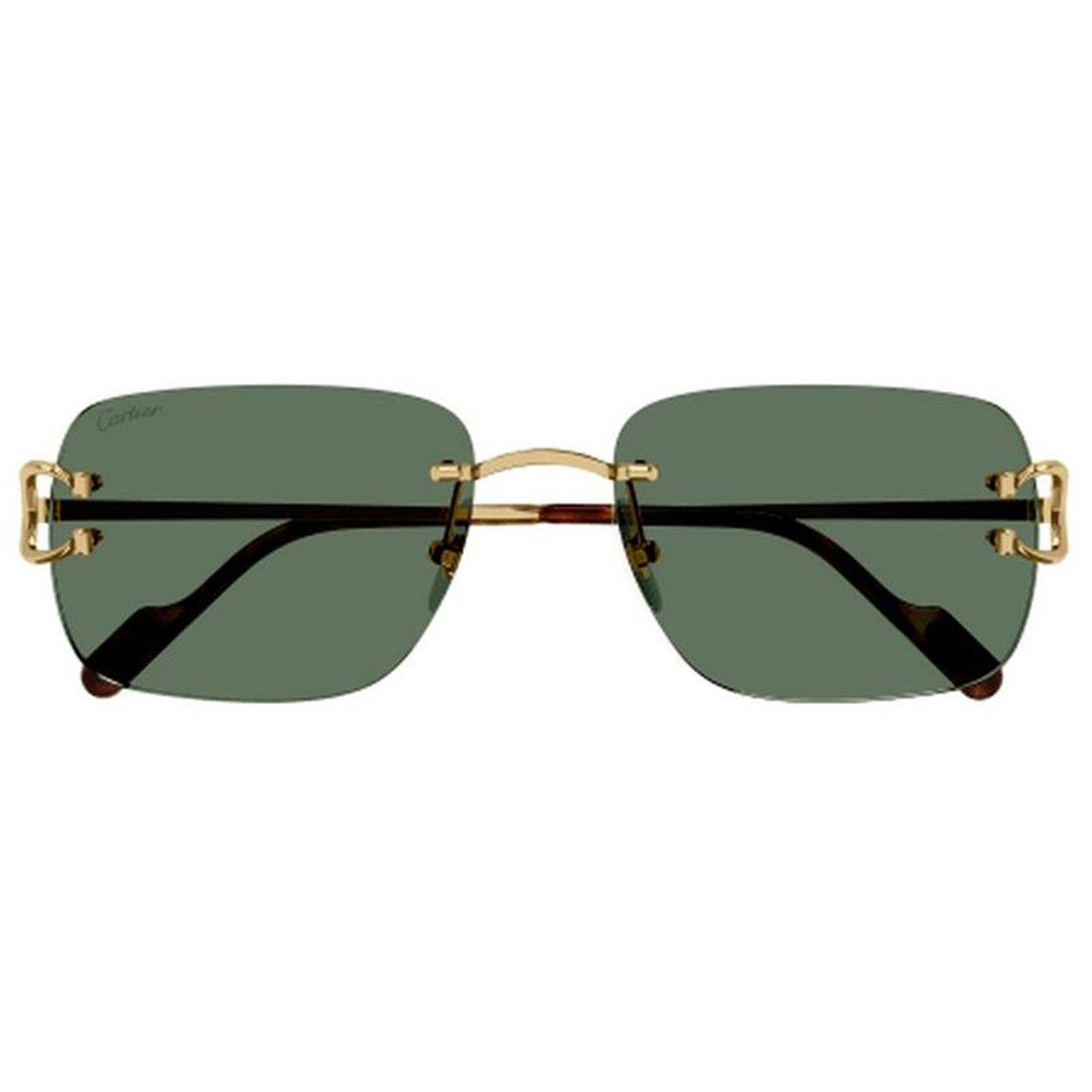 Cartier CT0330S 005