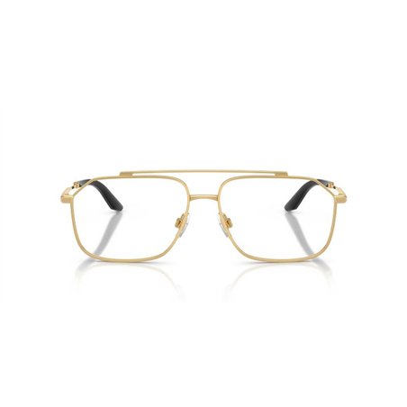 Dolce & Gabbana DG1364 02