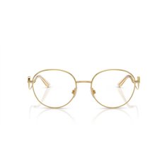 Dolce & Gabbana DG1365 02 2