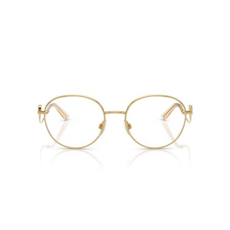 Dolce & Gabbana DG1365 02