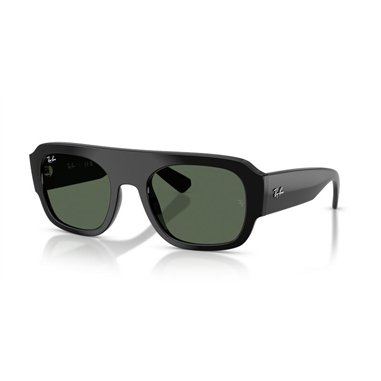 Ray-Ban RB2218 667771