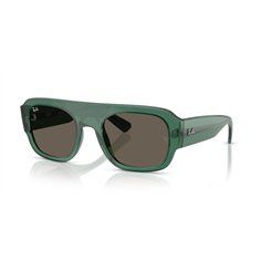 Ray-Ban RB2218 6681/3