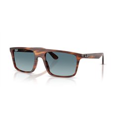 Ray-Ban RB2222 954/3M