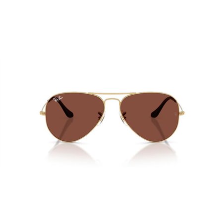 Ray-Ban AVIATOR RB3025 001/C5