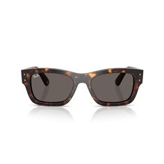 Ray-Ban JOSEPH RB7683S 902/B1 2