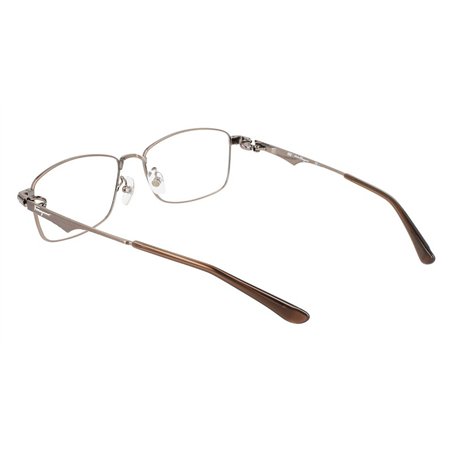 Salvatore Ferragamo SF9006 212