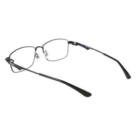 Salvatore Ferragamo SF9006 433